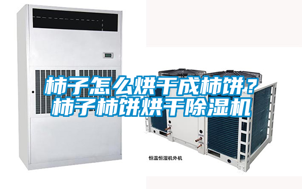 柿子怎么烘干成柿餅？柿子柿餅烘干除濕機