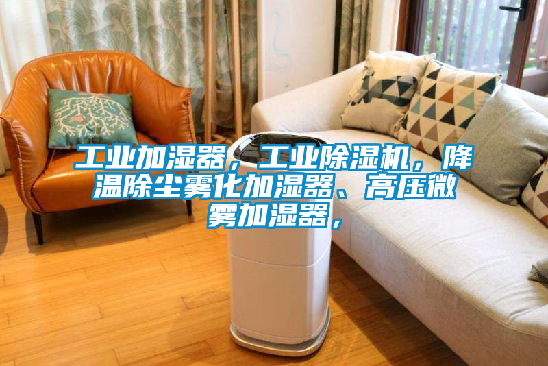 工業(yè)加濕器，工業(yè)除濕機，降溫除塵霧化加濕器、高壓微霧加濕器，