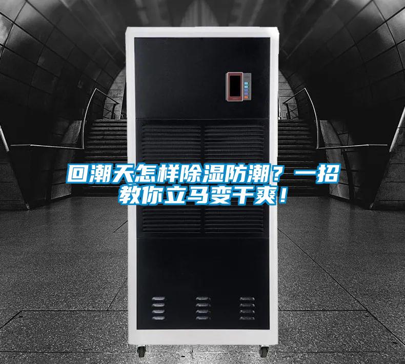 回潮天怎樣除濕防潮？一招教你立馬變干爽！