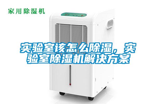 實(shí)驗(yàn)室該怎么除濕，實(shí)驗(yàn)室除濕機(jī)解決方案