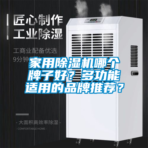 家用除濕機(jī)哪個(gè)牌子好？多功能適用的品牌推薦？