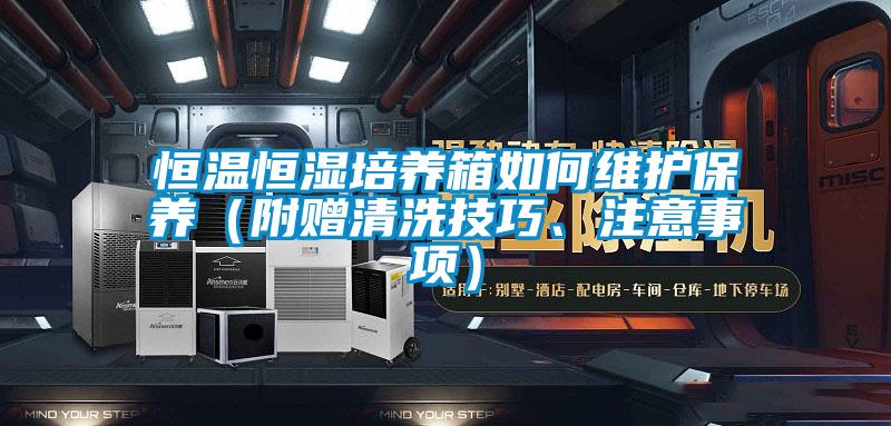 恒溫恒濕培養(yǎng)箱如何維護(hù)保養(yǎng)（附贈清洗技巧、注意事項）