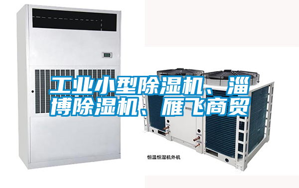 工業(yè)小型除濕機、淄博除濕機、雁飛商貿(mào)