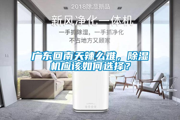 廣東回南天辣么難，除濕機(jī)應(yīng)該如何選擇？