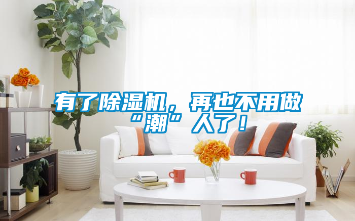 有了除濕機，再也不用做“潮”人了！