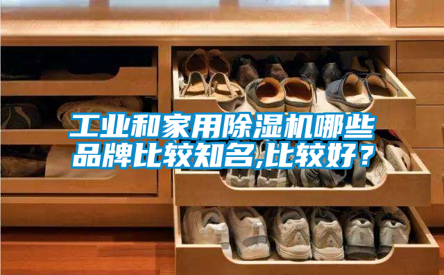 工業(yè)和家用除濕機(jī)哪些品牌比較知名,比較好？