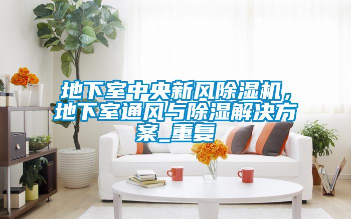 地下室中央新風(fēng)除濕機(jī)，地下室通風(fēng)與除濕解決方案_重復(fù)