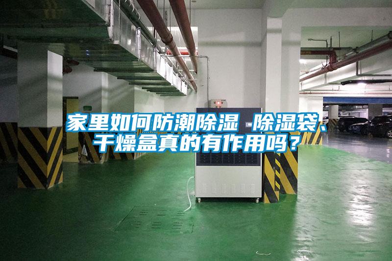 家里如何防潮除濕 除濕袋、干燥盒真的有作用嗎？