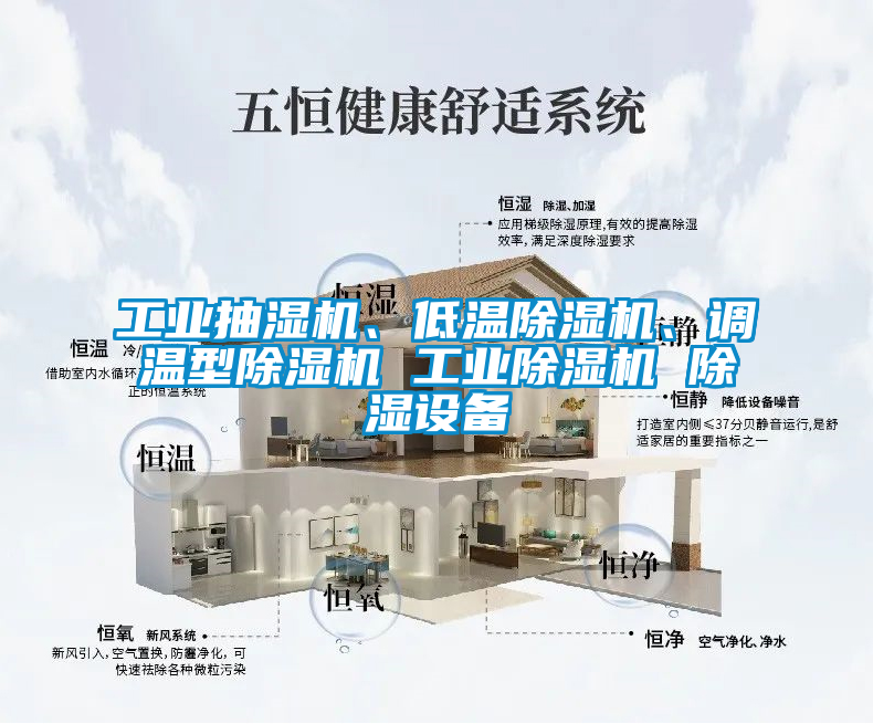 工業(yè)抽濕機(jī)、低溫除濕機(jī)、調(diào)溫型除濕機(jī) 工業(yè)除濕機(jī) 除濕設(shè)備