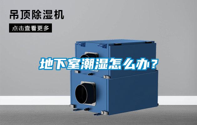 地下室潮濕怎么辦？