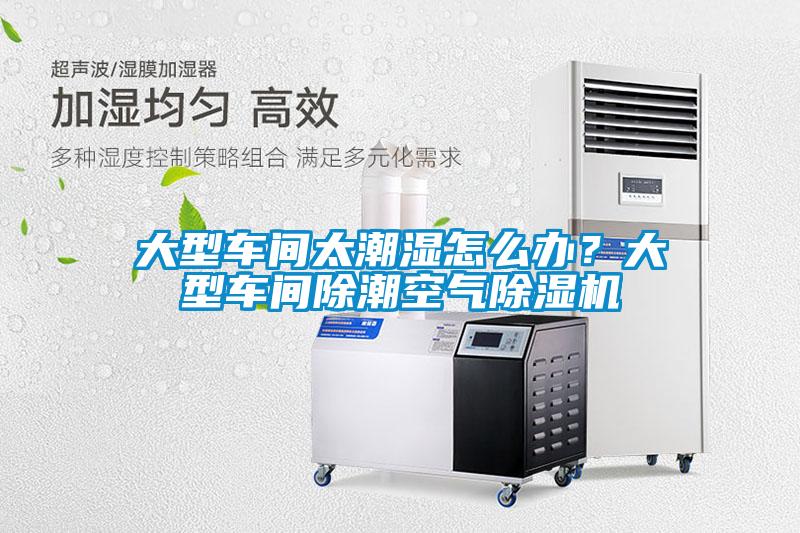 大型車間太潮濕怎么辦？大型車間除潮空氣除濕機(jī)