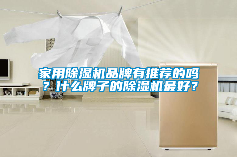 家用除濕機(jī)品牌有推薦的嗎？什么牌子的除濕機(jī)最好？