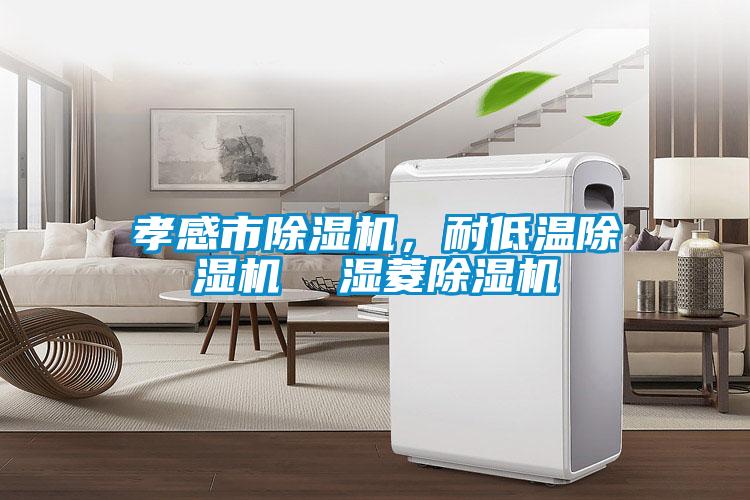 孝感市除濕機(jī)，耐低溫除濕機(jī)  濕菱除濕機(jī)