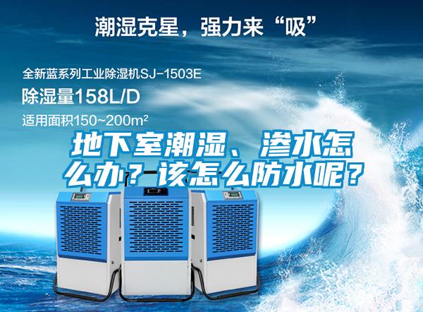 地下室潮濕、滲水怎么辦？該怎么防水呢？