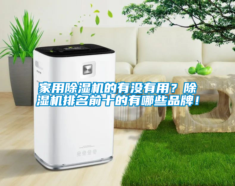 家用除濕機(jī)的有沒有用？除濕機(jī)排名前十的有哪些品牌！