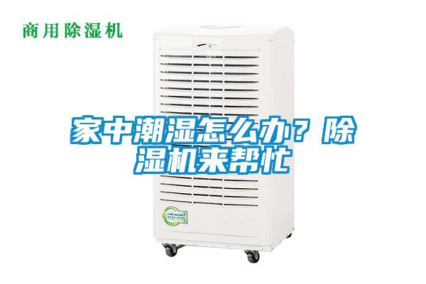 家中潮濕怎么辦？除濕機(jī)來幫忙