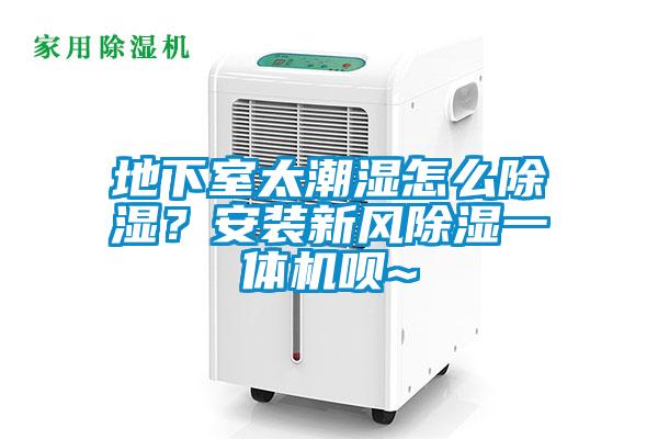 地下室太潮濕怎么除濕？安裝新風除濕一體機唄~