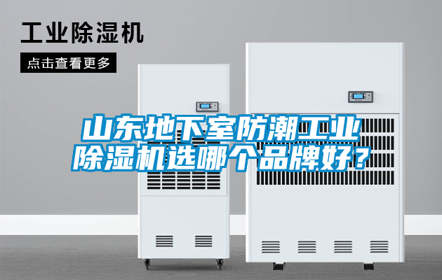 山東地下室防潮工業(yè)除濕機(jī)選哪個(gè)品牌好？