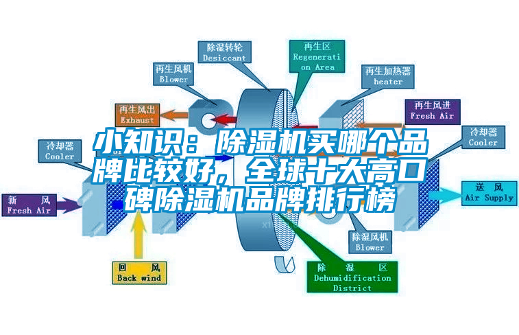 小知識：除濕機買哪個品牌比較好，全球十大高口碑除濕機品牌排行榜