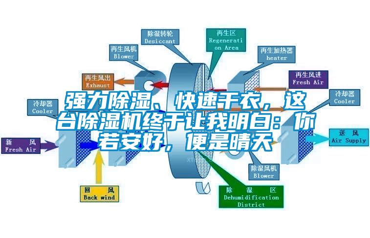 強(qiáng)力除濕、快速干衣，這臺除濕機(jī)終于讓我明白：你若安好，便是晴天