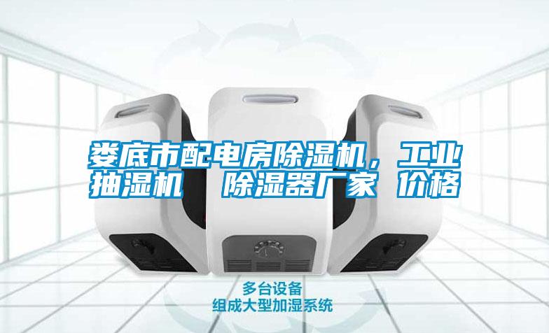 婁底市配電房除濕機(jī)，工業(yè)抽濕機(jī)  除濕器廠家 價格