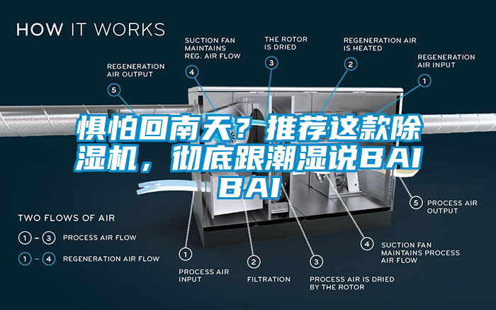 懼怕回南天？推薦這款除濕機，徹底跟潮濕說BAIBAI