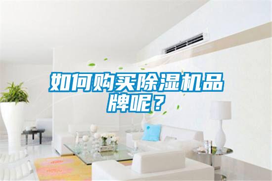 如何購買除濕機品牌呢？