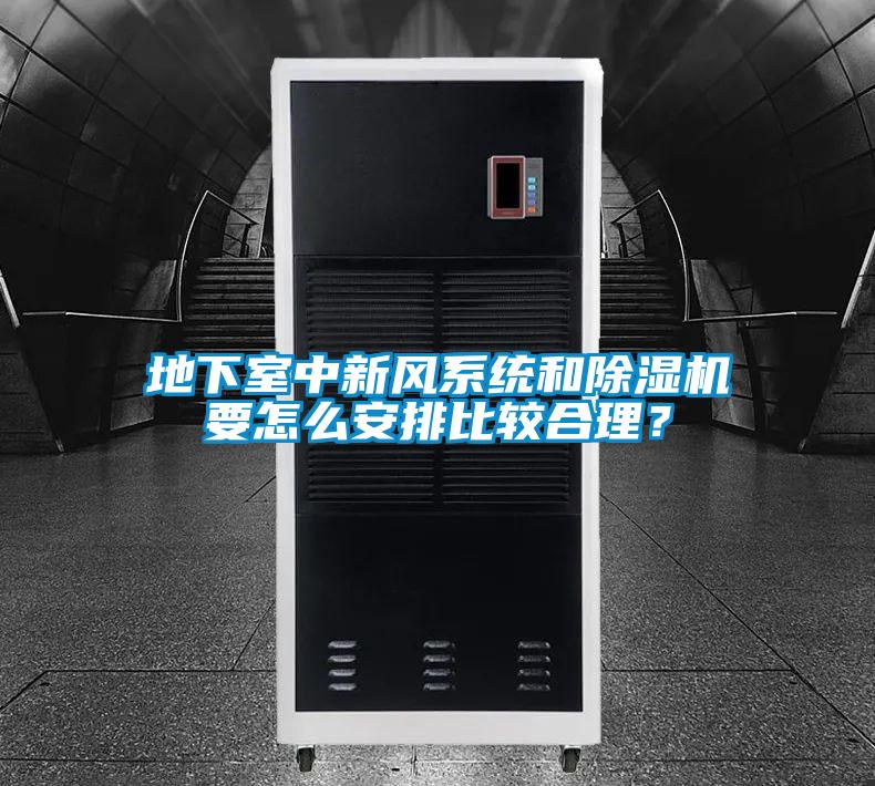 地下室中新風(fēng)系統(tǒng)和除濕機(jī)要怎么安排比較合理？