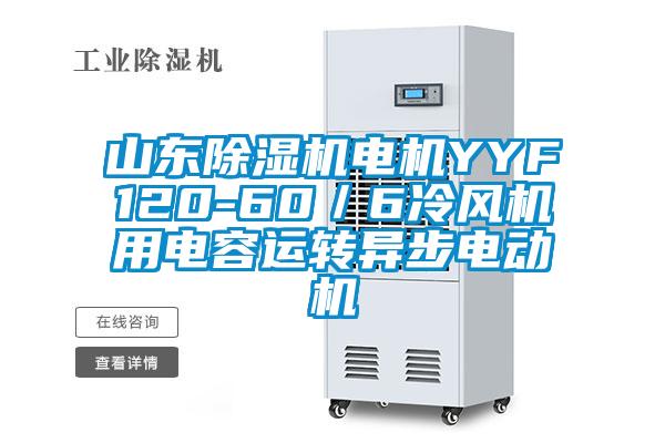 山東除濕機(jī)電機(jī)YYF120-60／6冷風(fēng)機(jī)用電容運轉(zhuǎn)異步電動機(jī)