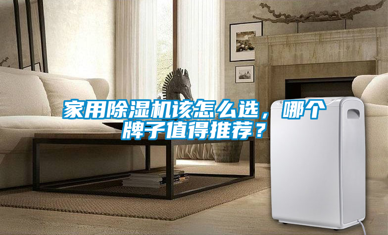 家用除濕機該怎么選，哪個牌子值得推薦？