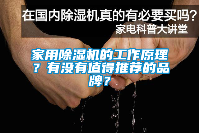 家用除濕機(jī)的工作原理？有沒有值得推薦的品牌？