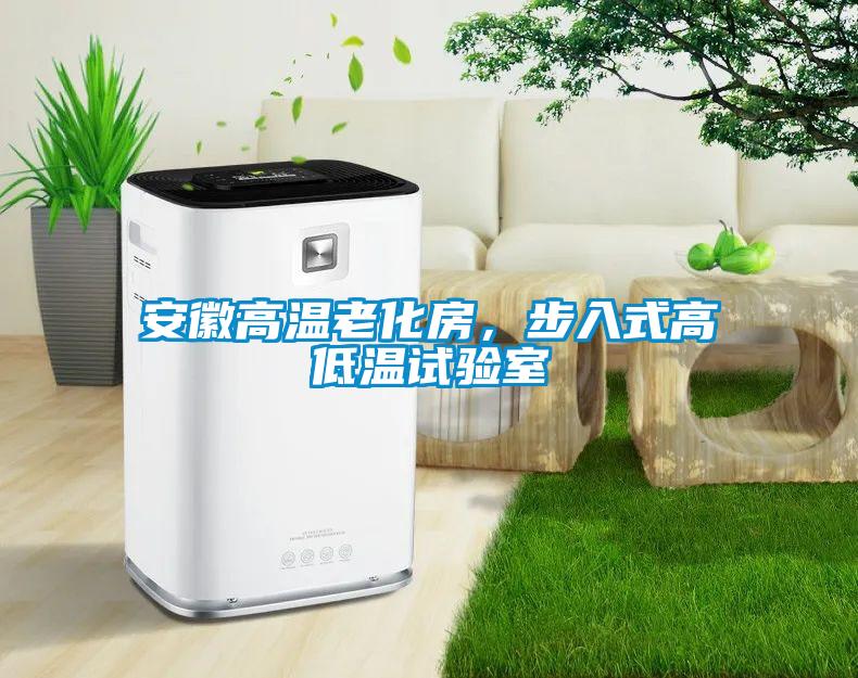 安徽高溫老化房，步入式高低溫試驗室