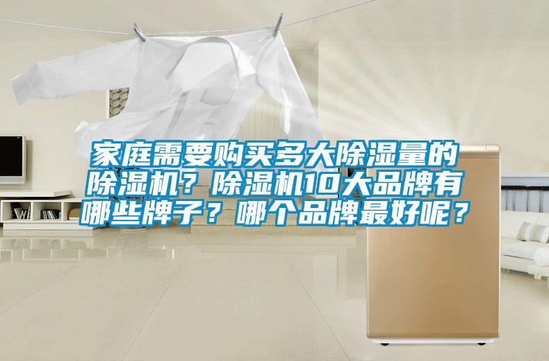 家庭需要購買多大除濕量的除濕機？除濕機10大品牌有哪些牌子？哪個品牌最好呢？