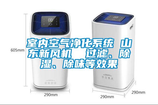 室內空氣凈化系統(tǒng) 山東新風機  過濾、除濕、除味等效果