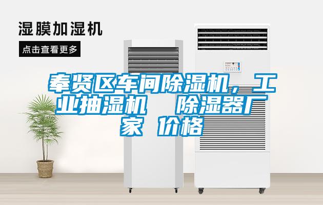 奉賢區(qū)車(chē)間除濕機(jī)，工業(yè)抽濕機(jī)  除濕器廠家 價(jià)格