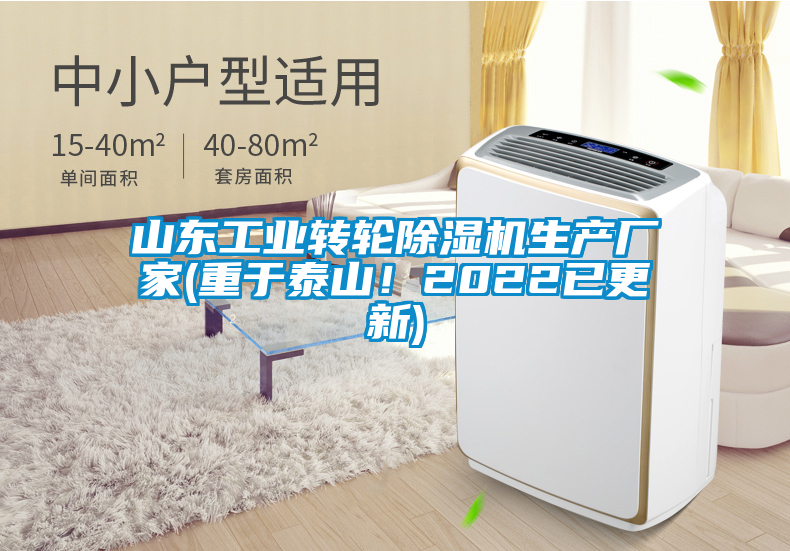 山東工業(yè)轉(zhuǎn)輪除濕機生產(chǎn)廠家(重于泰山！2022已更新)