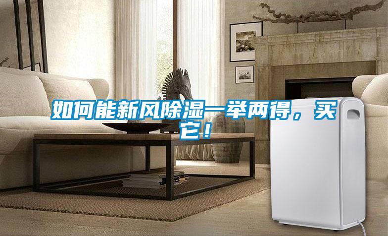 如何能新風(fēng)除濕一舉兩得，買它！