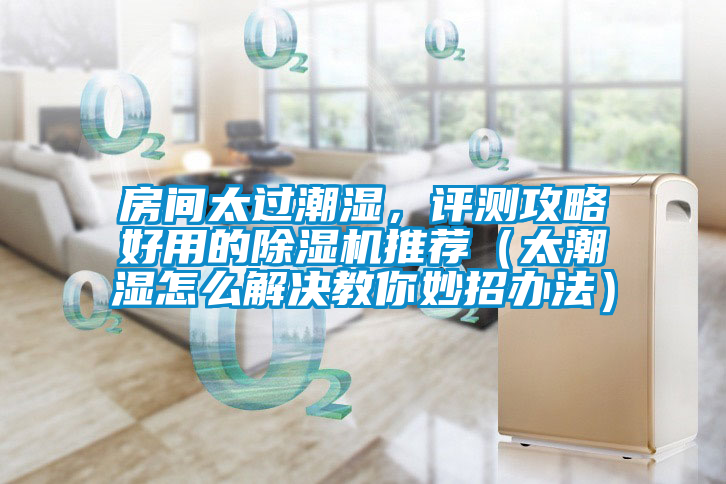 房間太過(guò)潮濕，評(píng)測(cè)攻略好用的除濕機(jī)推薦（太潮濕怎么解決教你妙招辦法）