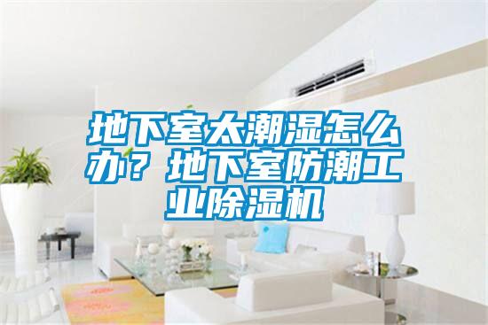 地下室太潮濕怎么辦？地下室防潮工業(yè)除濕機(jī)