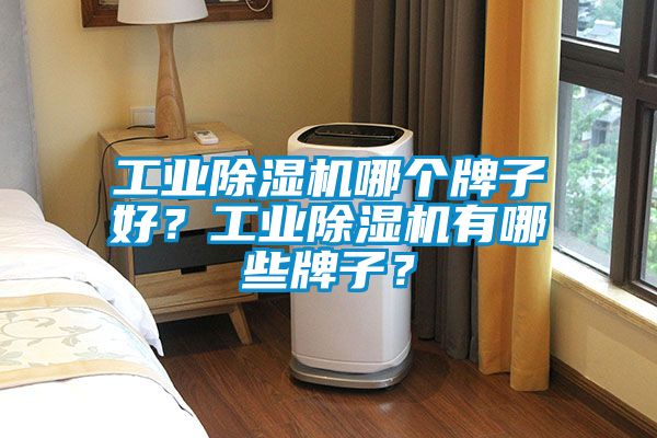 工業(yè)除濕機哪個牌子好？工業(yè)除濕機有哪些牌子？