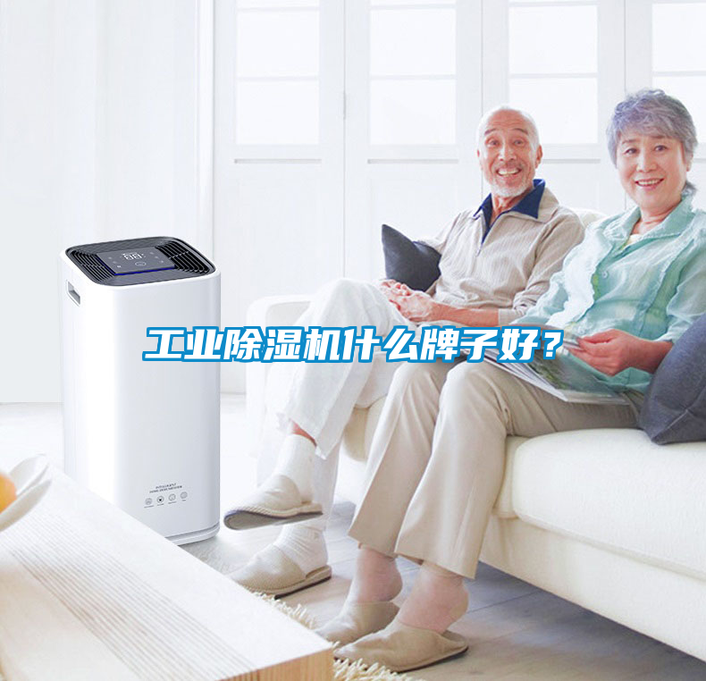 工業(yè)除濕機(jī)什么牌子好？