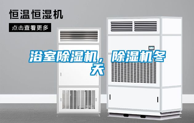 浴室除濕機，除濕機冬天