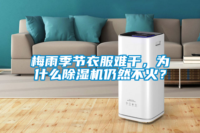 梅雨季節(jié)衣服難干，為什么除濕機仍然不火？