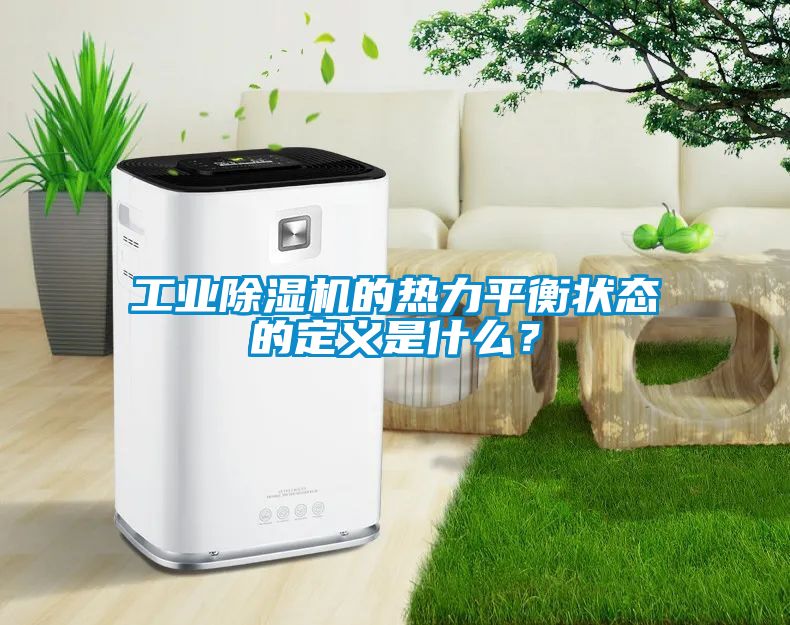 工業(yè)除濕機的熱力平衡狀態(tài)的定義是什么？