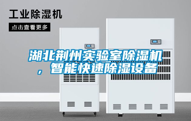 湖北荊州實驗室除濕機，智能快速除濕設(shè)備