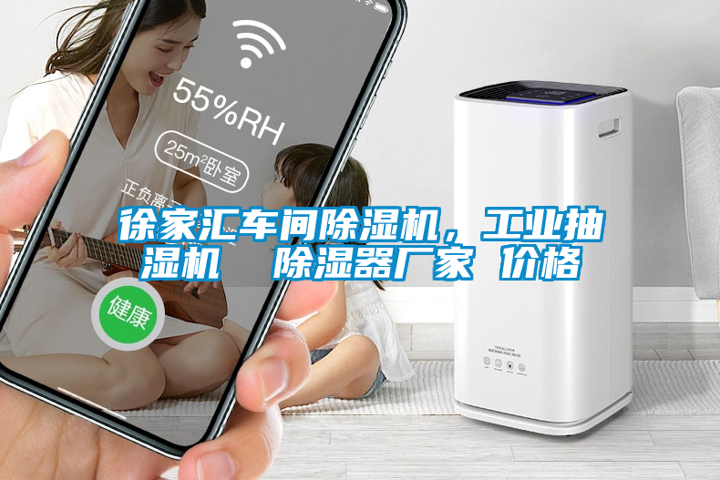 徐家匯車間除濕機，工業(yè)抽濕機  除濕器廠家 價格