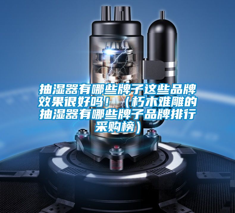 抽濕器有哪些牌子這些品牌效果很好嗎?。ㄐ嗄倦y雕的抽濕器有哪些牌子品牌排行采購榜）