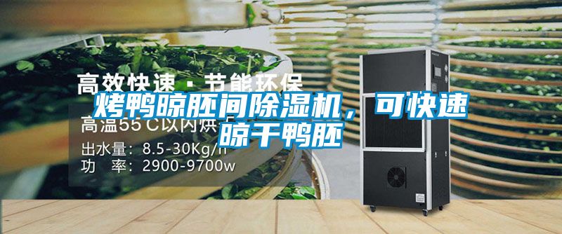 烤鴨晾胚間除濕機，可快速晾干鴨胚