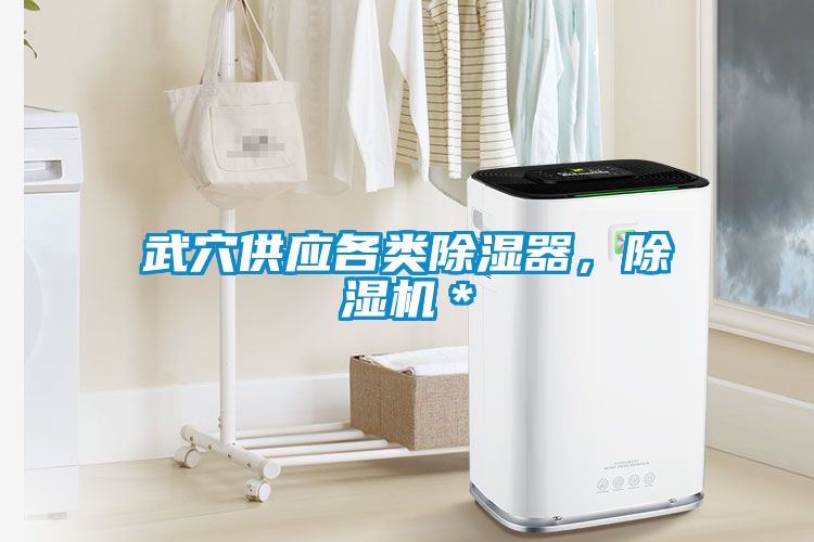 武穴供應(yīng)各類除濕器，除濕機(jī)＊