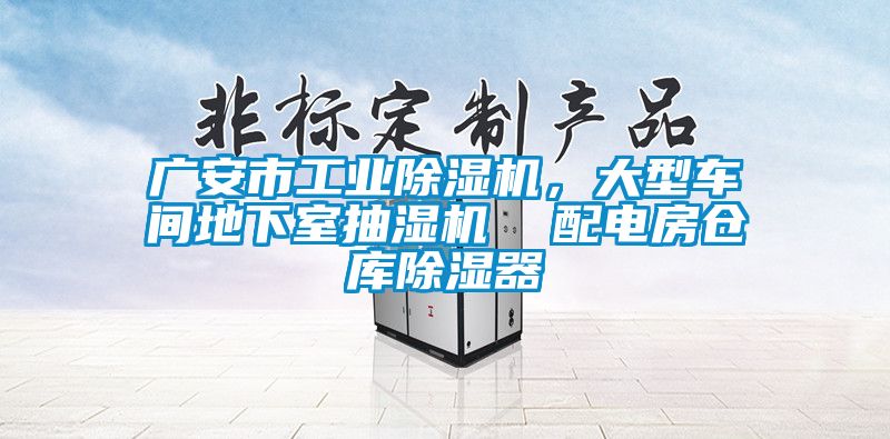 廣安市工業(yè)除濕機，大型車間地下室抽濕機  配電房倉庫除濕器